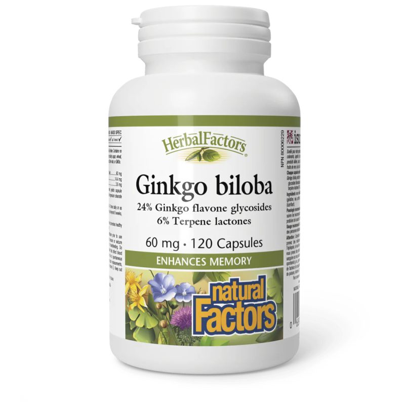 Natural Factors Ginko Biloba - 60 mg, 60 capsules