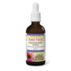 Natural Factors ECHINAMIDE® Anti-Viral Potent Fresh Herbal Tincture, 50 ml