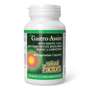 Natural Factors Gastro-Assist with Mastic Gum, Zinc L-Carnosine & Chamomile, 60 vegetarian capsules