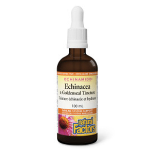 Natural Factors Echinacea & Goldenseal Tincture - Immune Support, 100ml