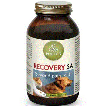 Purica Recovery SA Extra Strength, 60 chewable tablets