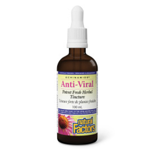 Natural Factors ECHINAMIDE® Anti-Viral Potent Fresh Herbal Tincture, 100 ml
